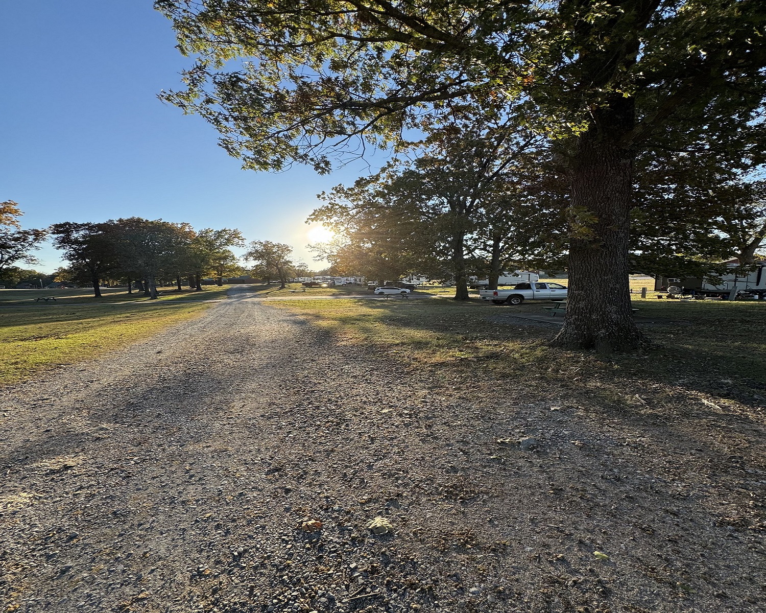 Golden-hour drive through the park