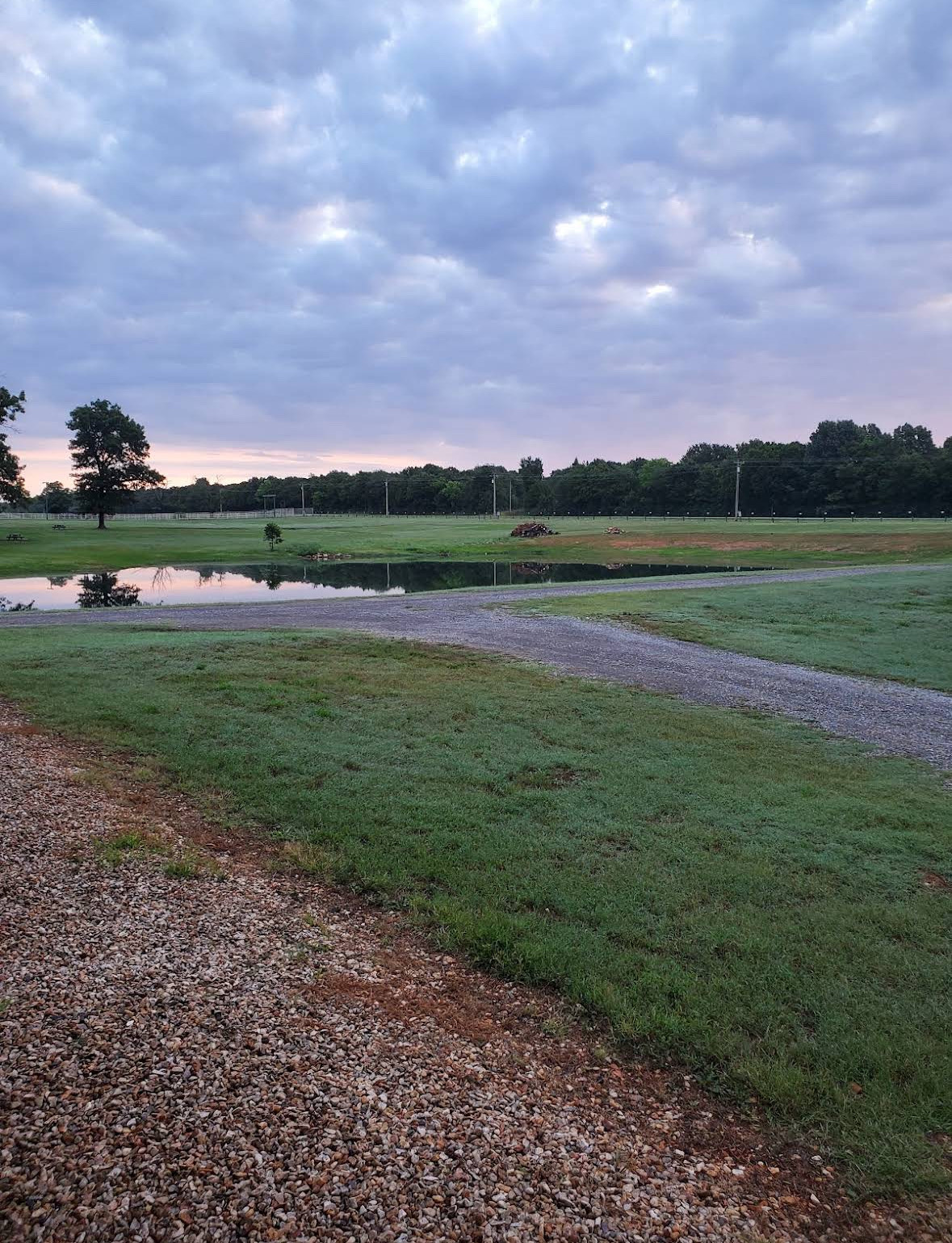 RV sites and cabins along the gravel drive
