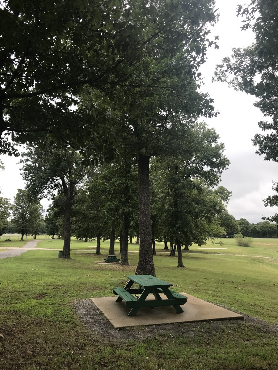 Green picnic table under a mature oak